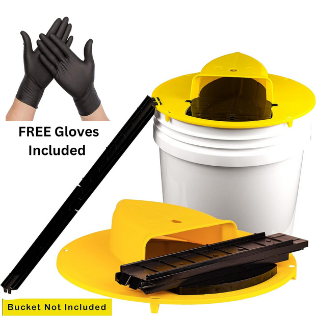 Mouse Trap Bucket